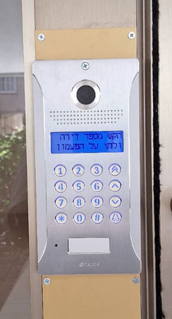 תמונה 12